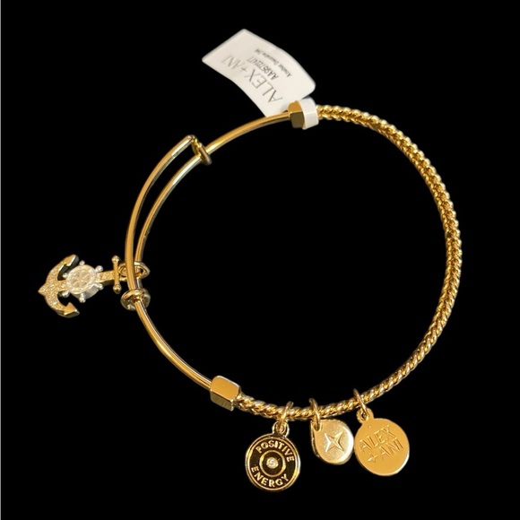 Alex and Ani Two-Tone Textured Anchor Charm Bangle - Picture 3 of 6
